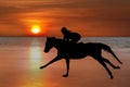 Silhouette of a horse and rider galloping on beach Royalty Free Stock Photo