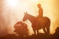 The silhouette of a horse rider and her horse against the background of sunset Royalty Free Stock Photo