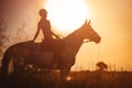 The silhouette of a horse rider and her horse against the background of sunset Royalty Free Stock Photo