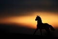 Silhouette of a Horse