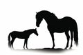 Silhouette Horse, Shadow Horse illustration, White Background Royalty Free Stock Photo
