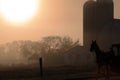 Silhouette of horse and silos at sunrise Royalty Free Stock Photo