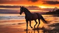 silhouette horse sunset and sea Royalty Free Stock Photo