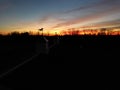 Silhouette of horse weathervanes on cupolas and trees against the orange-red sky at the sunset