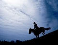 Silhouette of a horseman Royalty Free Stock Photo