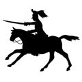 Silhouette of a horseman with a saber. The military cavalry is attacking