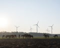 Silhouette of horses and wind turbines in german landscape of lower saxony Royalty Free Stock Photo