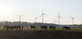 Silhouette of horses and wind turbines in german landscape of lower saxony Royalty Free Stock Photo