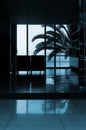 Hotel lobby silhouette with palmtree in background Royalty Free Stock Photo