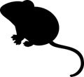 Silhouette of house mouse on white background