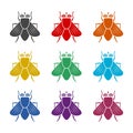 Silhouette of housefly icon, color set