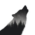 Howling Wolf Silhouette Over Night Forest Royalty Free Stock Photo