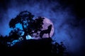 Silhouette of howling wolf against dark toned foggy background and full moon or Wolf in silhouette howling to the full moon. Hallo