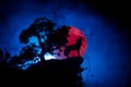 Silhouette of howling wolf against dark toned foggy background and full moon or Wolf in silhouette howling to the full moon. Hallo Royalty Free Stock Photo