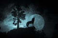 Silhouette of howling wolf against dark toned foggy background and full moon or Wolf in silhouette howling to the full moon. Hallo