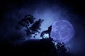 Silhouette of howling wolf against dark toned foggy background and full moon or Wolf in silhouette howling to the full moon. Hallo Royalty Free Stock Photo