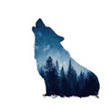 Howling Wolf Silhouette with Starry Night Forest Scene Royalty Free Stock Photo