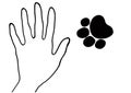 Silhouette of human hand palm and animal paw with black outline and fill on white background.