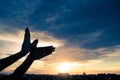 Silhouette human hands shape bird flying over sky and sunset background