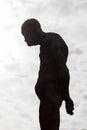 Silhouette of a human statue of stone