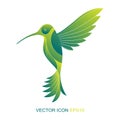 Silhouette of a hummingbird. Logo. A flat icon. Vector illustration. A kind of bird with a side. Royalty Free Stock Photo