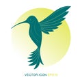 Silhouette of a hummingbird. Logo. A flat icon. Vector illustration. A kind of bird with a side. Royalty Free Stock Photo