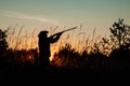 Silhouette of a hunter in a cowboy hat with a gun in his hands on a background of a beautiful sunset. The hunting period, the fall