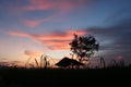 Silhouette of a hut in the middle of rice fields with a blue sky and orange color Royalty Free Stock Photo