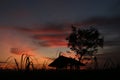 Silhouette of a hut in the middle of rice fields with a blue sky and orange color Royalty Free Stock Photo