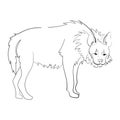 Silhouette of a hyena stylized on a white background.