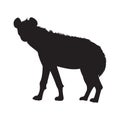 silhouette of hyena. Vector illustration decorative design