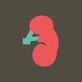 Simple vector illustration with ability to change. Silhouette icon kidney human