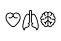 Human organs silhouette icons lungs heart brain vector Royalty Free Stock Photo