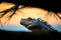 silhouette of iguana against sunset in a cypress Royalty Free Stock Photo