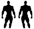 Silhouette illustration of a bodybuilder. Male muscular anatomy. Vector illustration