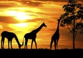 Silhouette illustration of giraffes