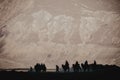 Silhouette image of camels caravan in the Hunder desert , Nubra valley