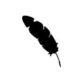 Silhouette image feather. Nib Icon.