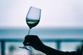 Silhouette Image Of A Woman`s Hand Holding A Wine Glass