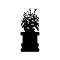 Silhouette Indian traditional holy basil pot Royalty Free Stock Photo