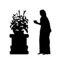 Silhouette Indian woman worship the sacred tulasi tree. Indian culture and religion.