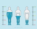 Silhouette infographic showing water percentage level in human body vector illustration