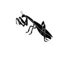 Silhouette of an insect mantis in a fighting posture