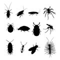 Silhouette insect set isolated on white. Vector illustration cockroach, spider, tick, mosquito and ant