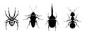 Silhouette of insects. Spider, cockroach, beetle and ant. Beetles icons set