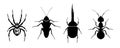 Silhouette of insects. Spider, cockroach, beetle and ant. Beetles icons set.