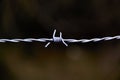silhouette of an insulated barbed wire on a dark background Royalty Free Stock Photo