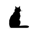 a silhouette of isolated cat on white background Royalty Free Stock Photo