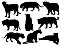 Set of Jaguar silhouette vector art