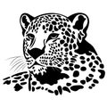 The silhouette of a jaguar head is painted black with various lines. Logo of the jaguar face Royalty Free Stock Photo